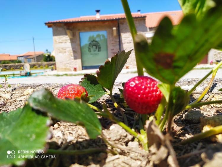 Casa D'Augusta - Agroturismo Miranda do Douro Luaran gambar