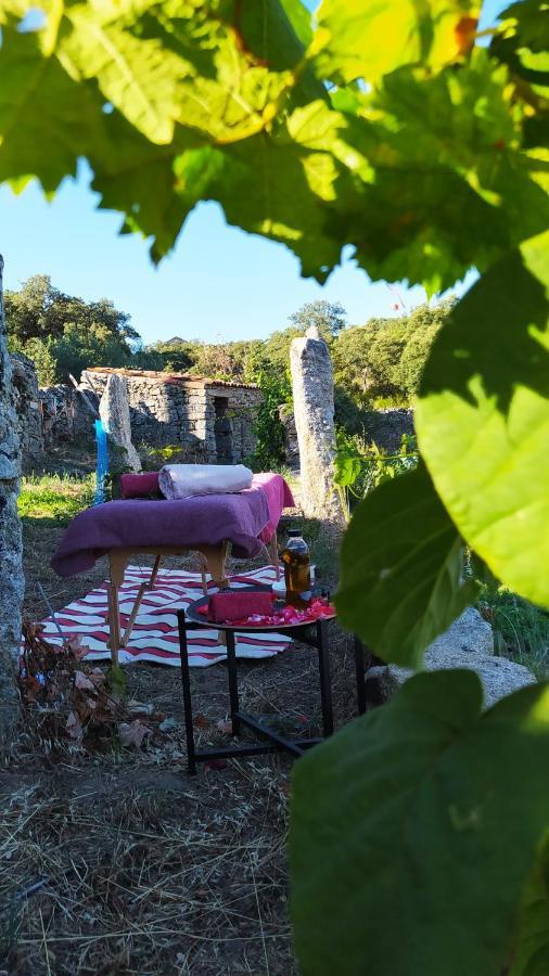Casa D'Augusta - Agroturismo Miranda do Douro Luaran gambar